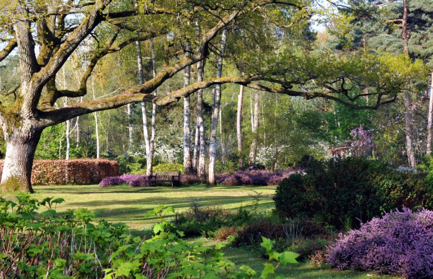 Arboretum des Grandes Bruyères, Ingrannes, France, France